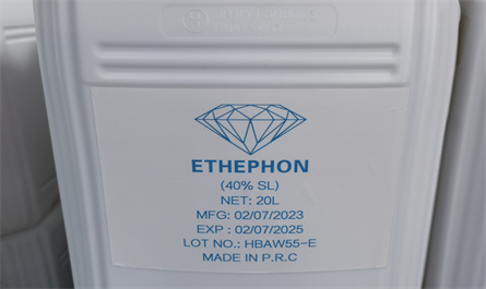 Application effections of ethephon on crops