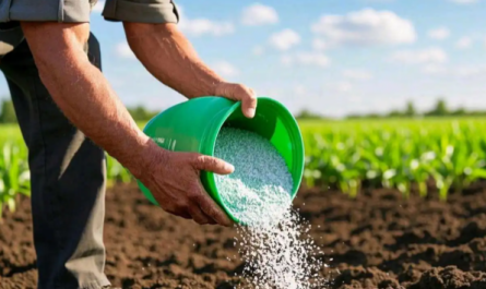 Plant Growth Regulators
