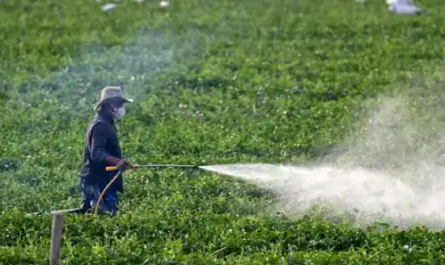 Plant Growth Regulator