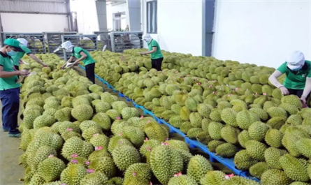 plant growth regulator pinsoa