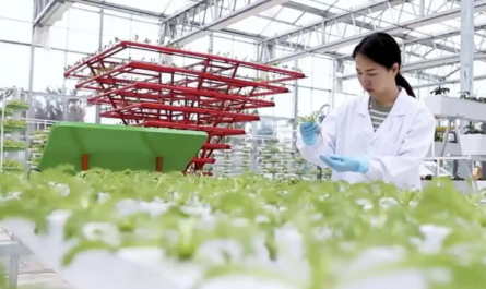 Plant Growth Regulator