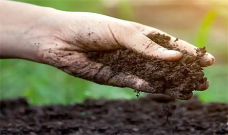 biostimulants and fertilizers ‌