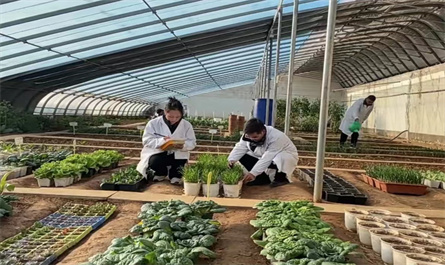 Plant growth regulators
