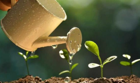 plant growth regulator