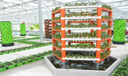 biostimulants and fertilizers ‌