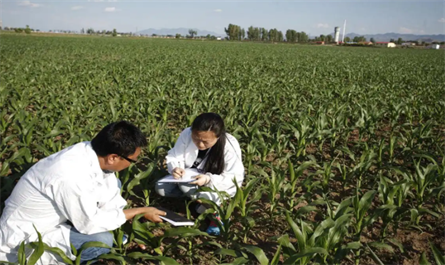 Plant growth regulators 
