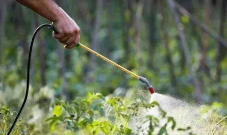plant growth regulator