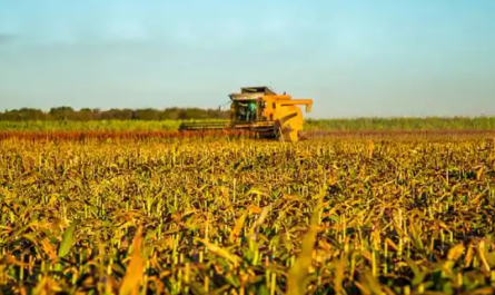 Plant Growth Regulator