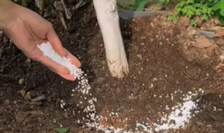 fertilizer