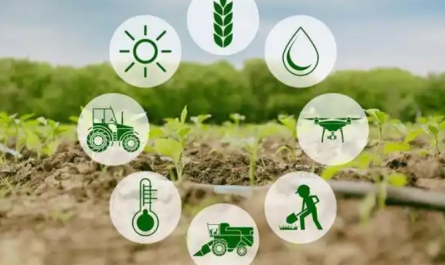Environmentally friendly plant growth regulators