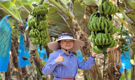 Visit customer's banana plantation in Yunnan