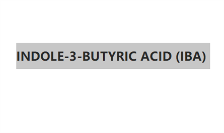 Functions and characteristics of INDOLE-3-BUTYRIC ACID (IBA)