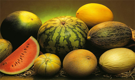 What plant growth regulators are used for melon farming?